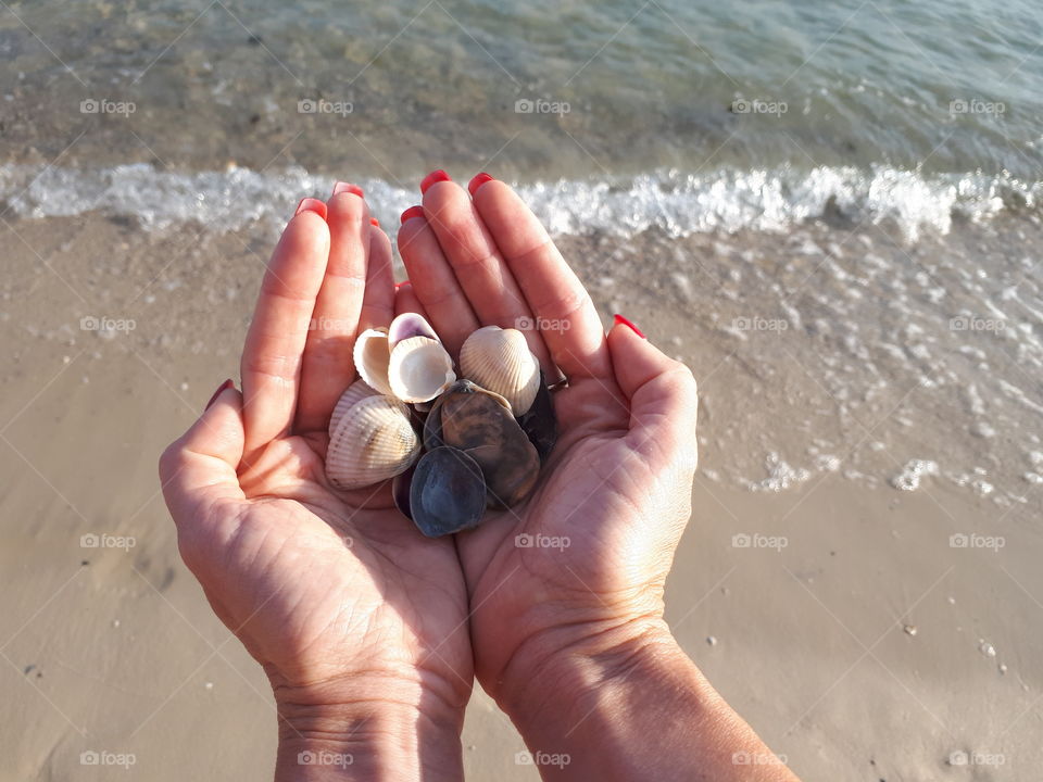 Shells at the woman's hands