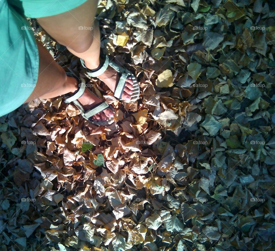 legs female on a autumn fallen leaves texture