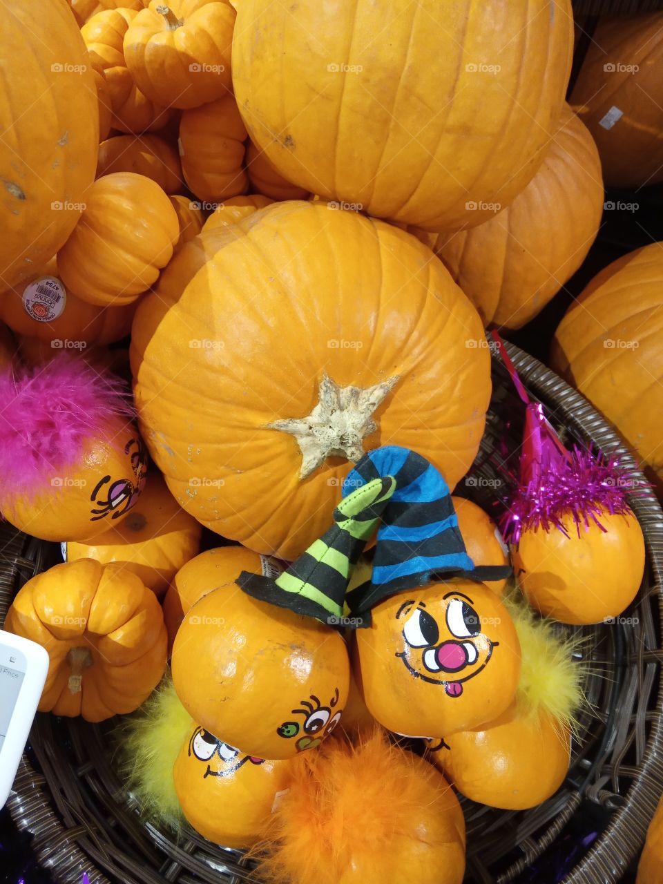 it's a pumpkin season