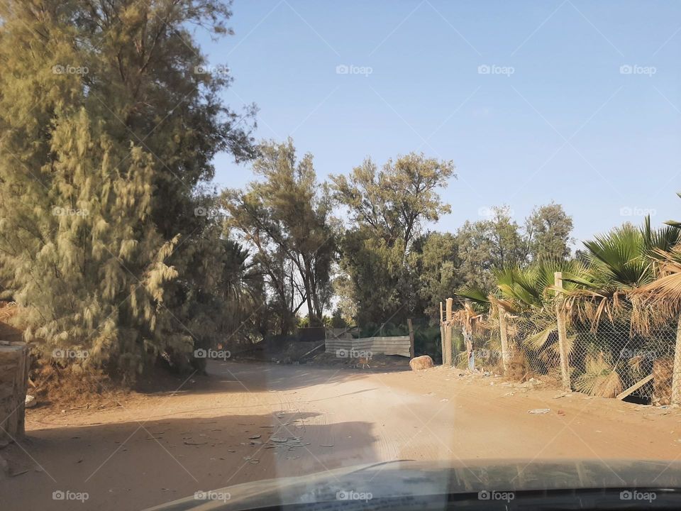 Please make me happy, I am poor, I need your help with support