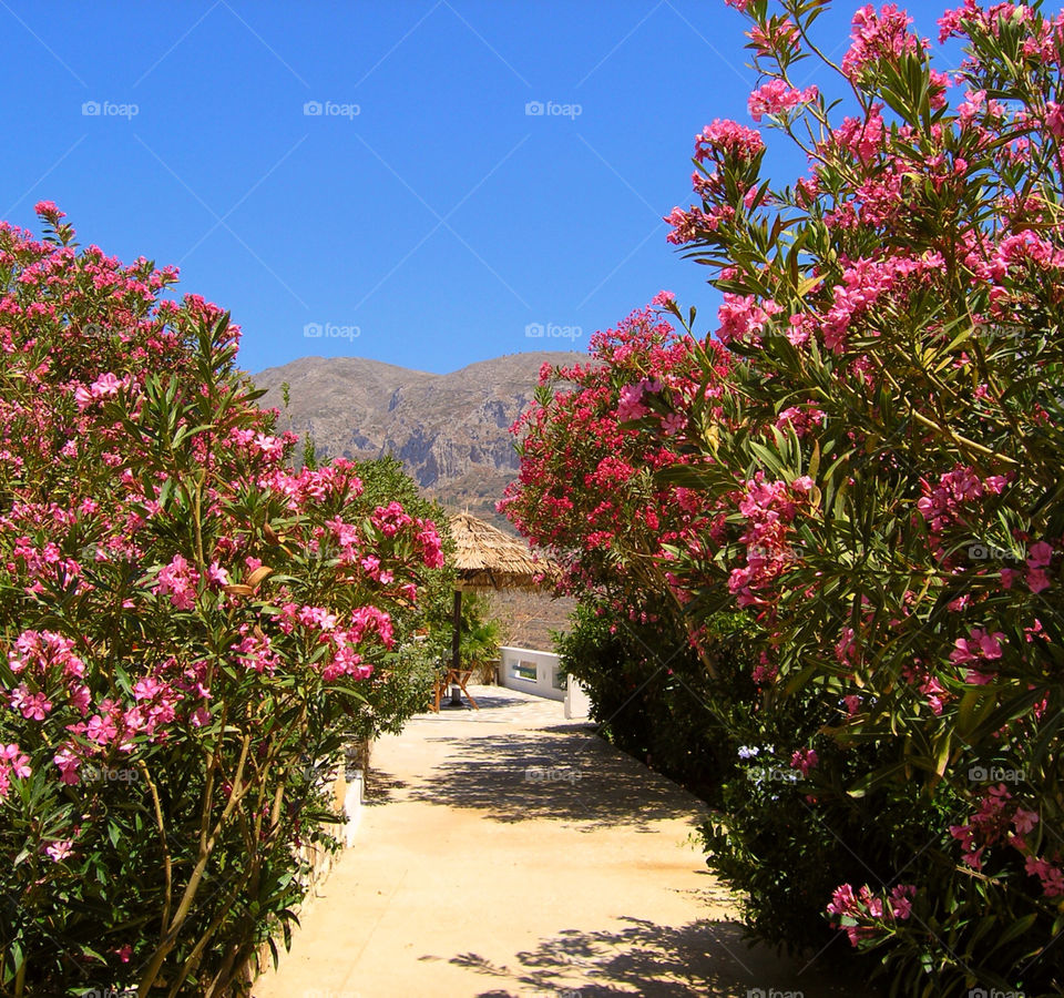 Amorgos