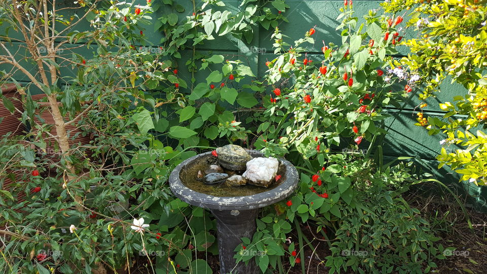 Rustic Bird Bath