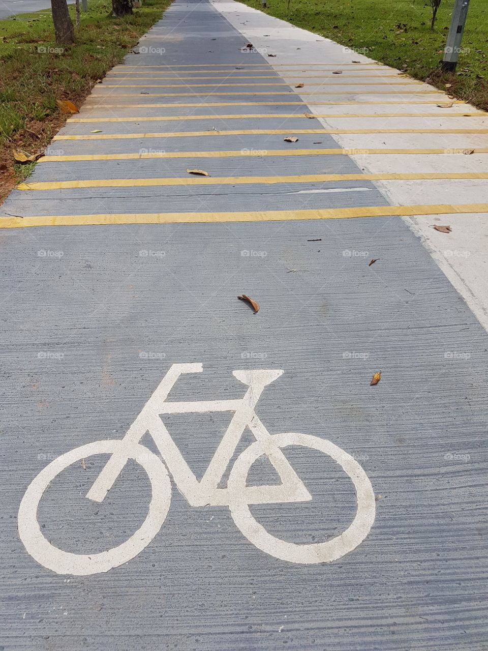 Bicycle shared track