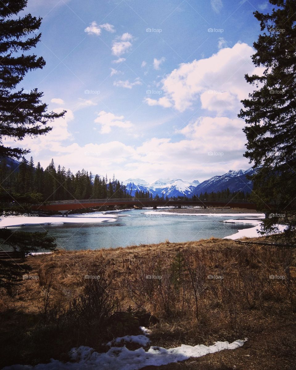 Bow river trail