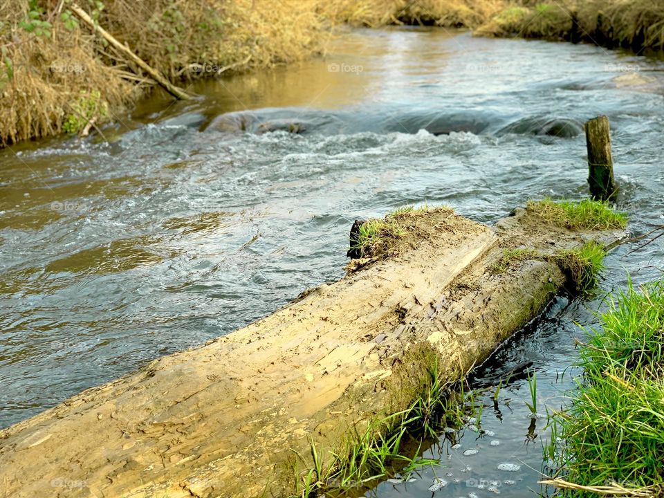 The presence of a branch in the river valley gives more aesthetics to the river