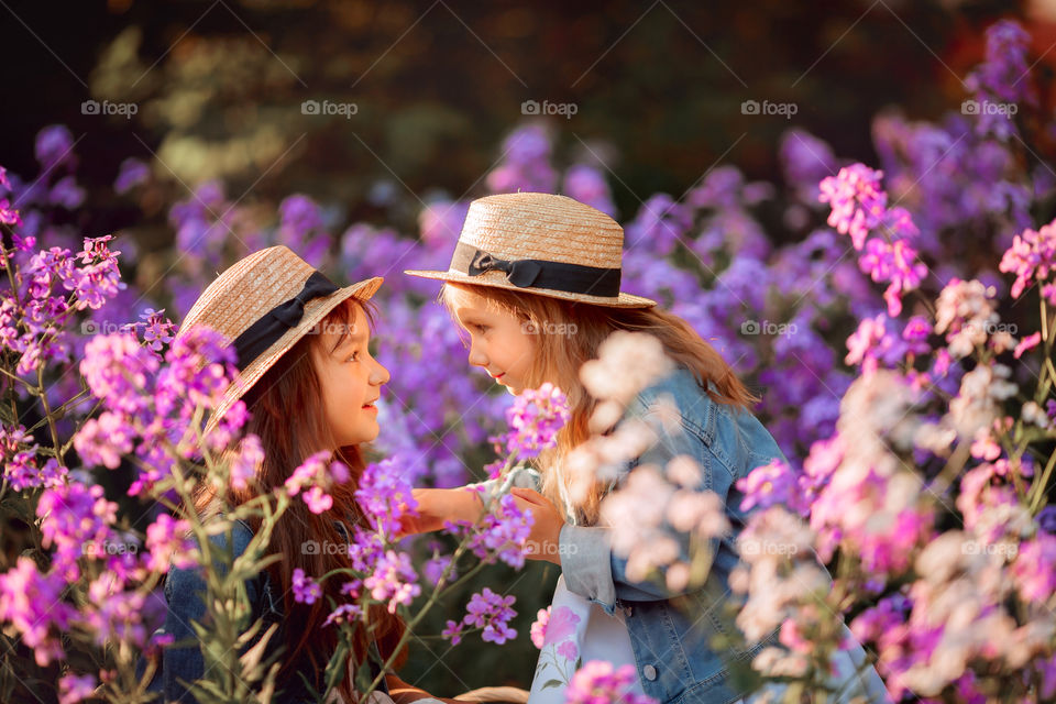 Little sisters in a blossom meadow 