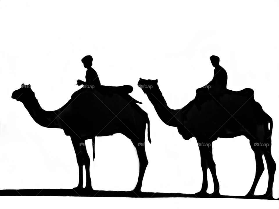 Camel
