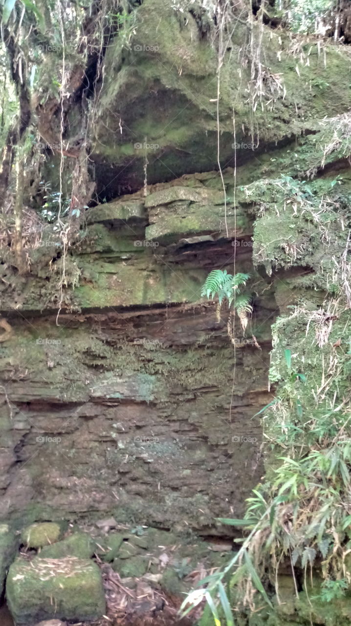 LEITO DE PEDRA DO RIACHO