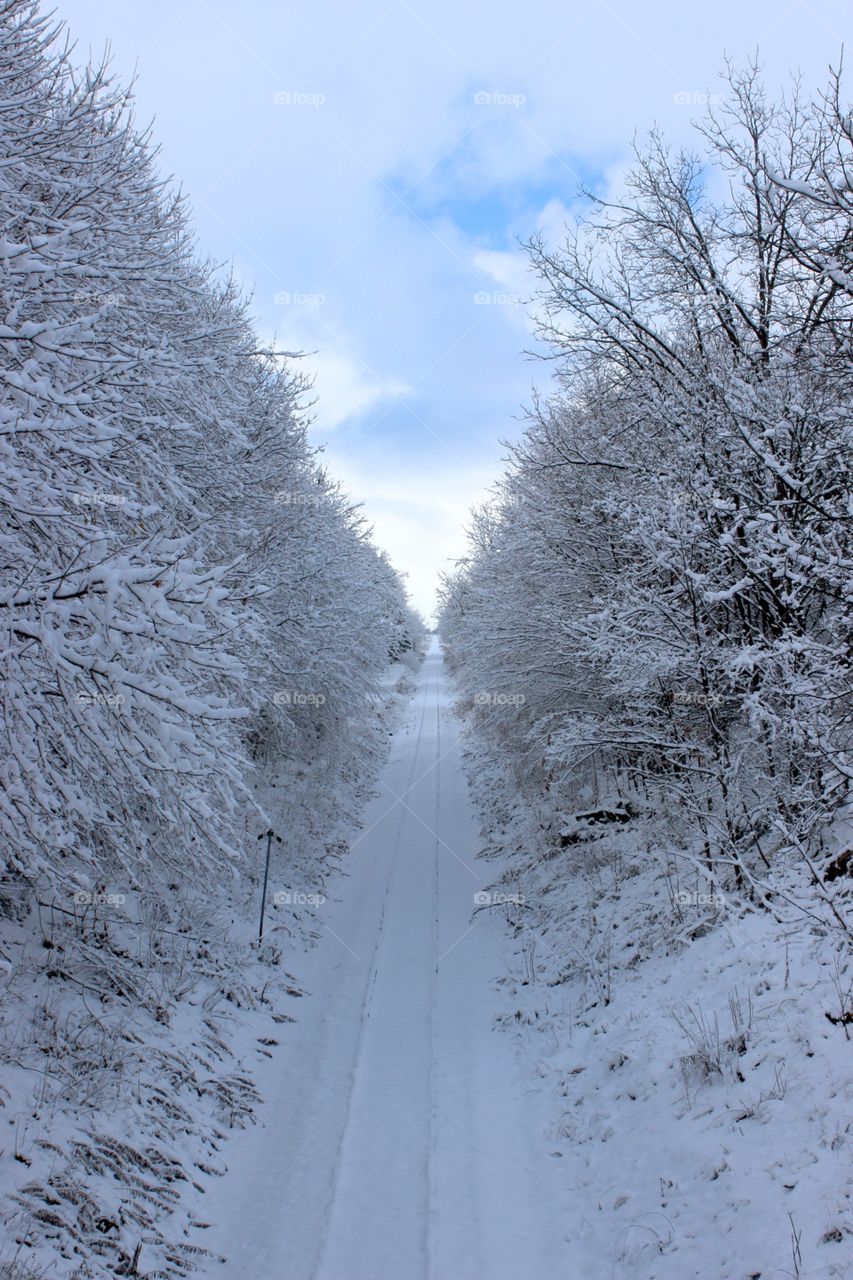 Winter railway 