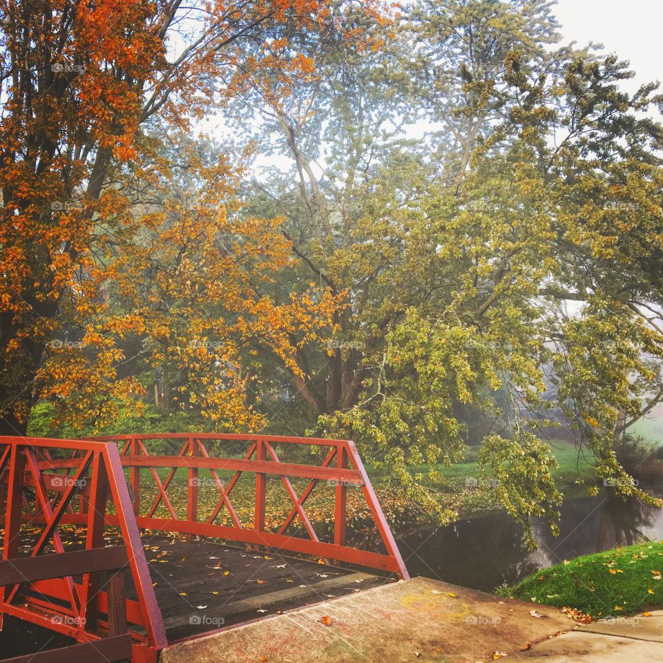 Fall morning fog over the river