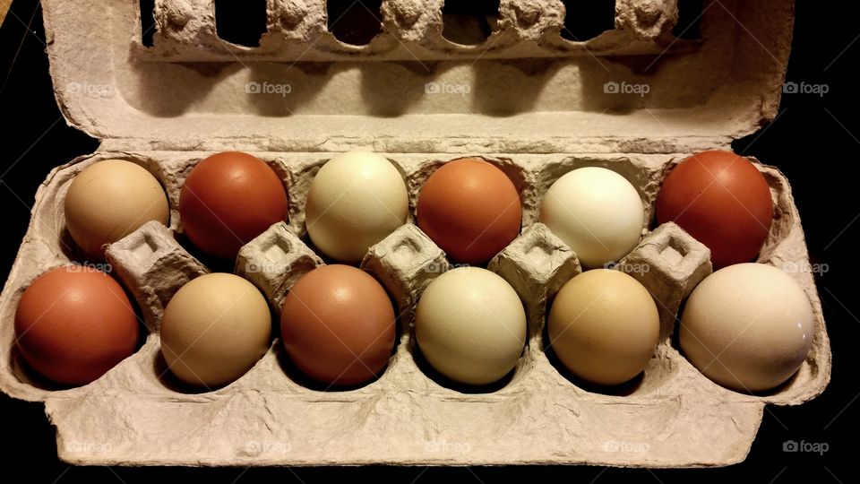 homegrown eggs