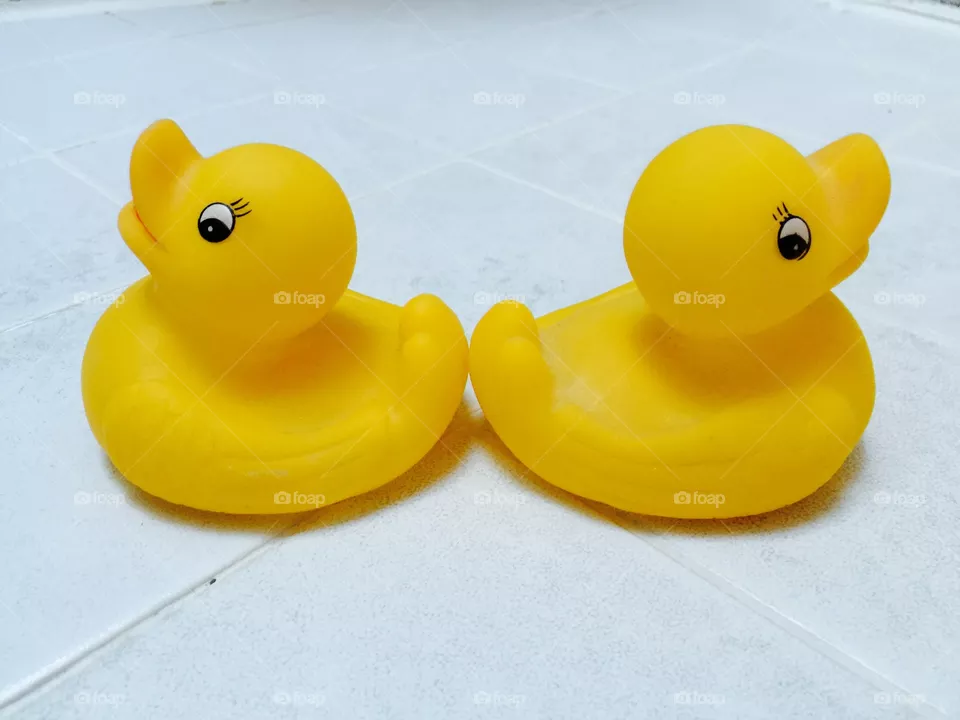 My ducks