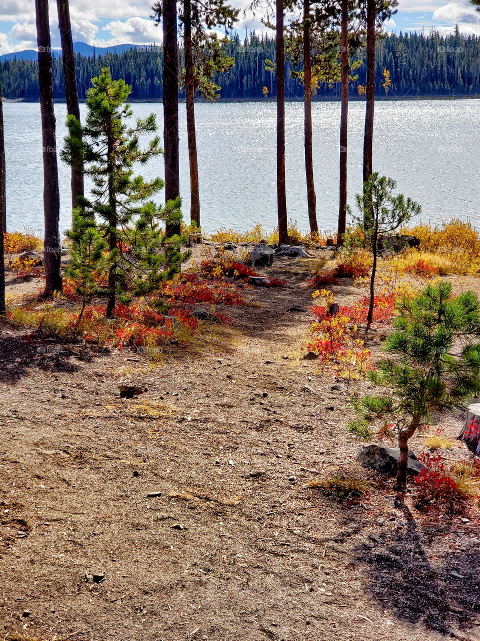 Brilliant fall colors of a landscape on the shores of Elk Lake in Oregon’s Cascade Mountains