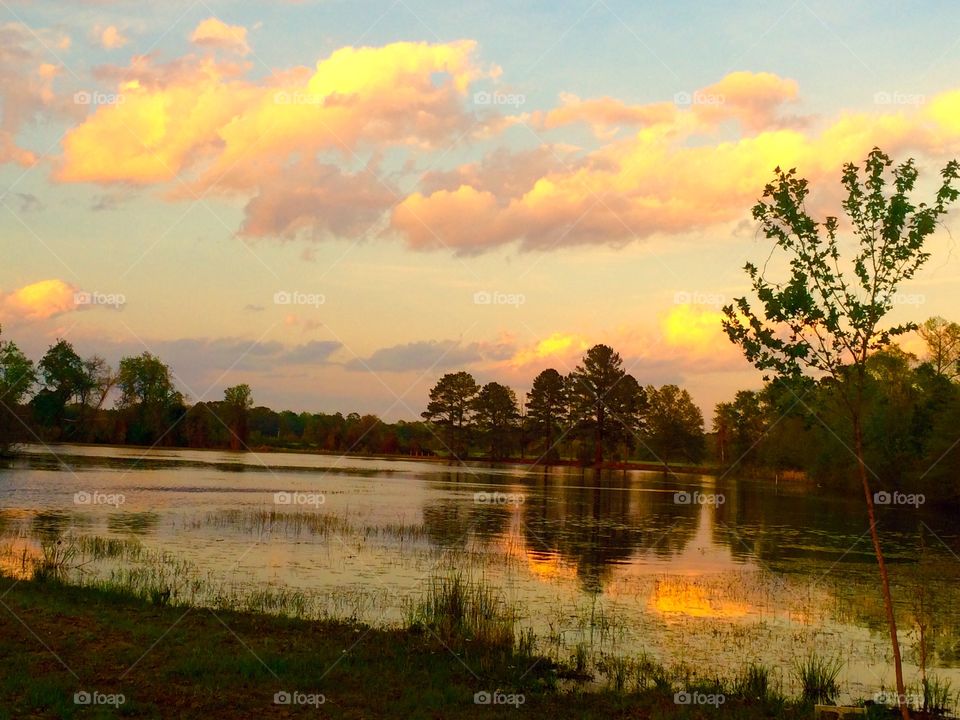 Evening sky