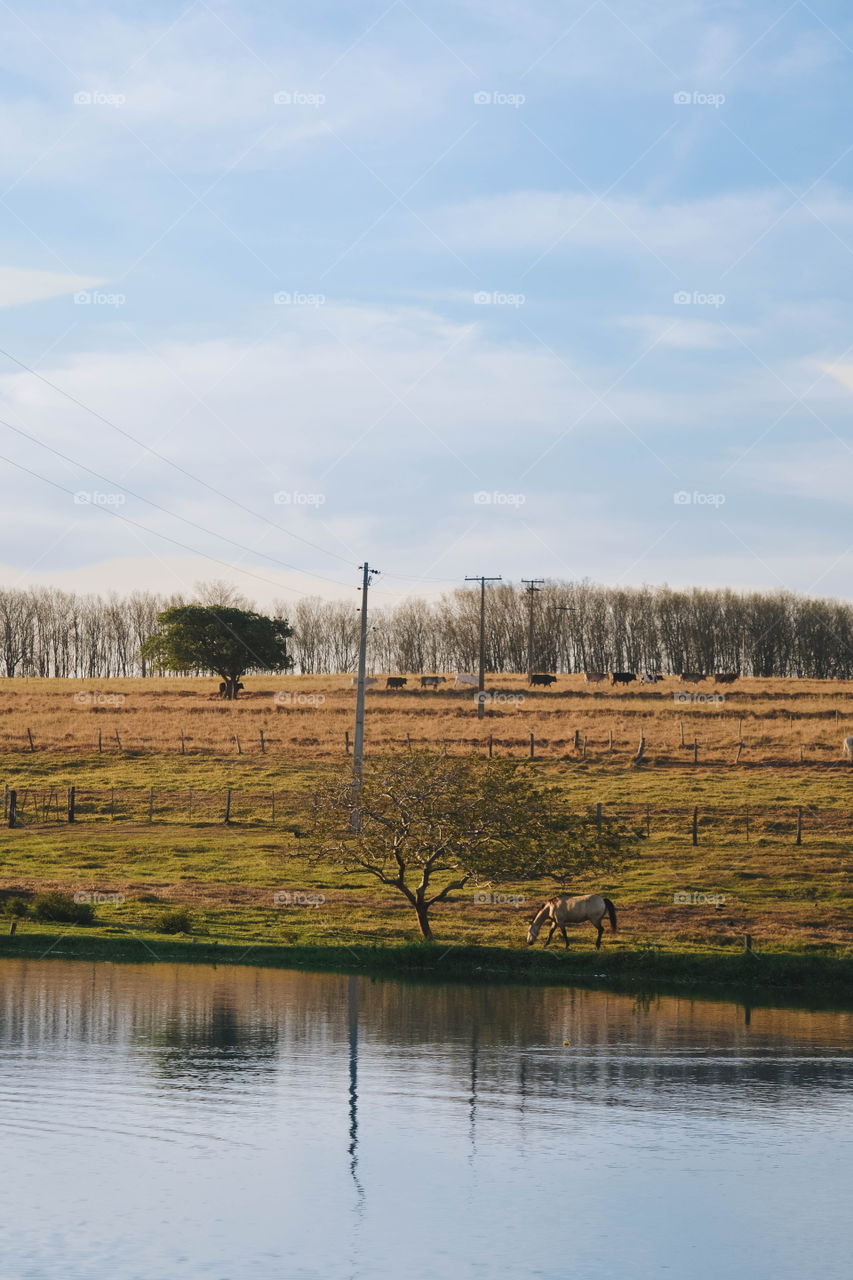 Landscape with arrival of autumn