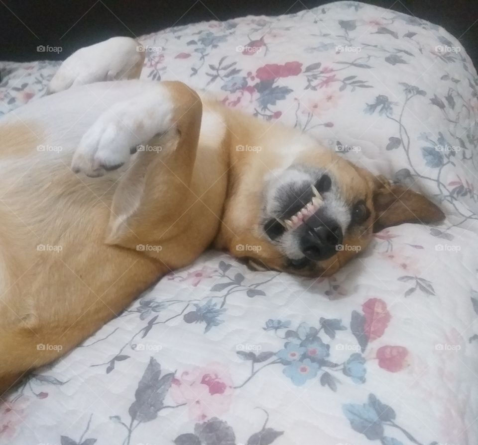 Smiling is the medicine for the soul.