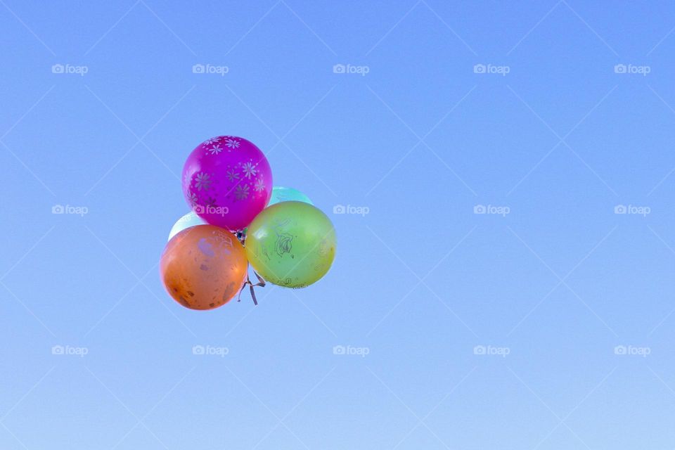 Colorful balloons in the sky