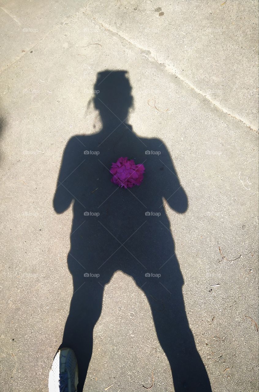 Black shadow of  on the pavement with a heart in the form of a red peony