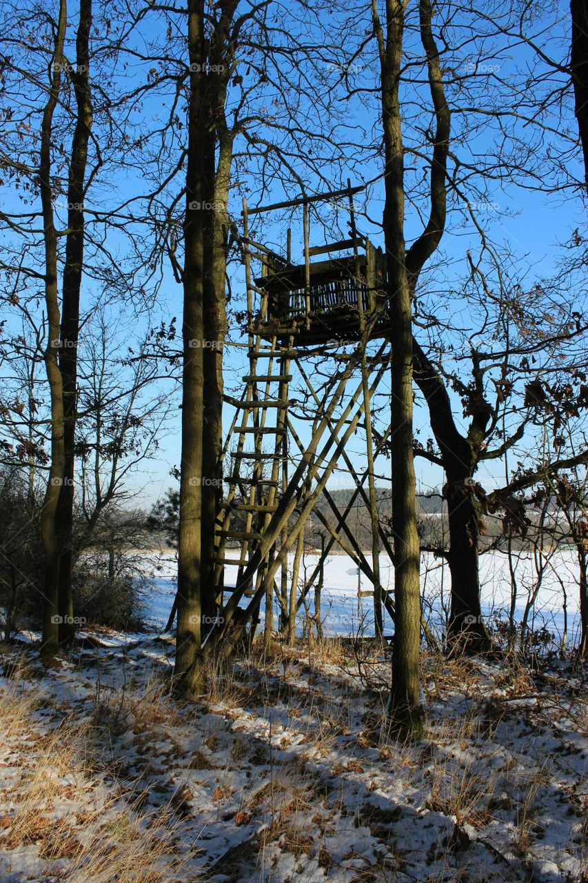 hunting pulpit in forest at winter