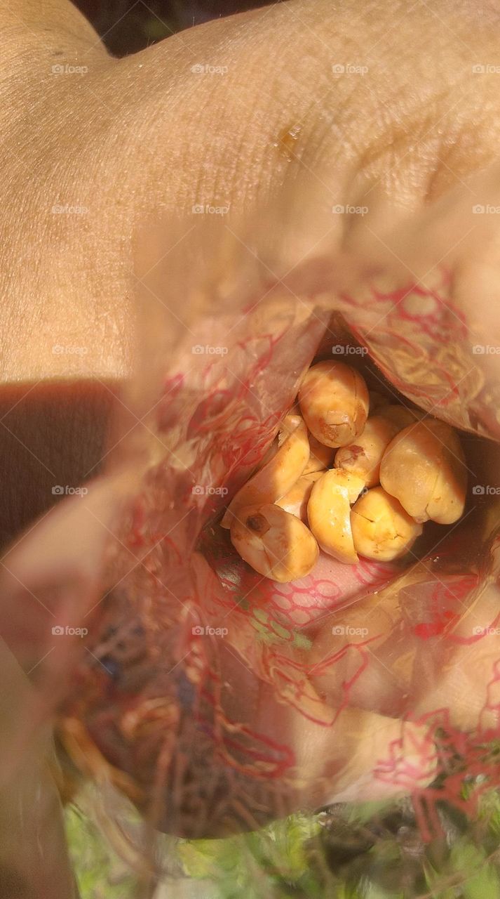 eat fried peanuts in plastic