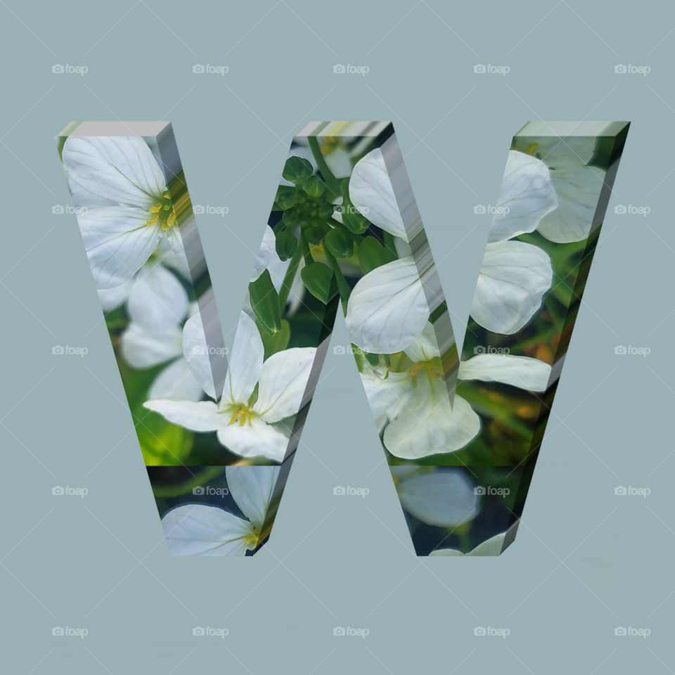 W alphabet 3d rendering of vertical white flowers alphabet