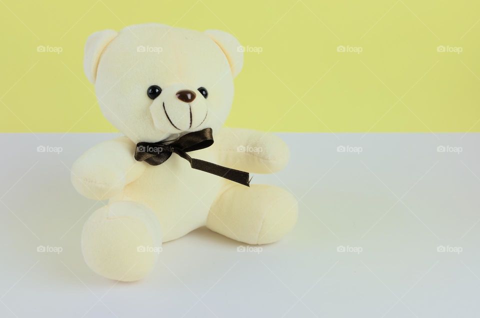 Teddy bear. Doll of a bear with a double colored background