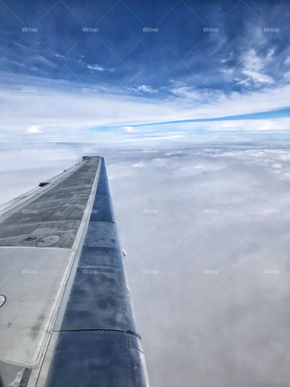 Color in a world where color isn’t always there. 