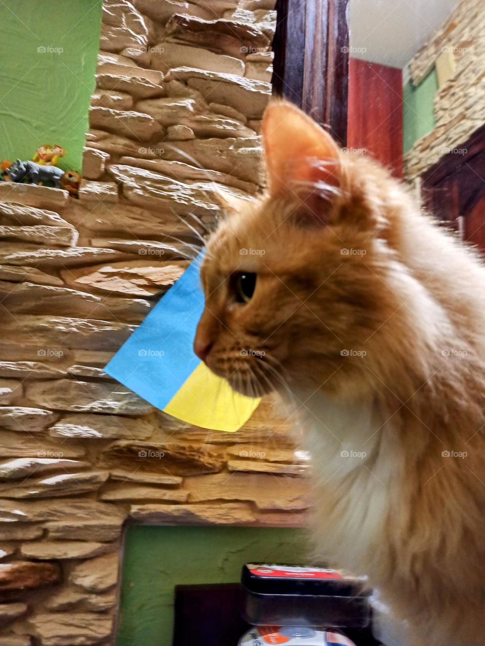 Independence Day. Ukrainian cat