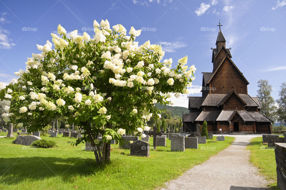 Spring in Norway