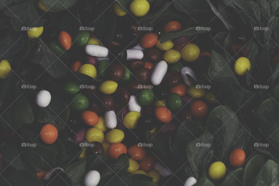 Candy land mysterious 