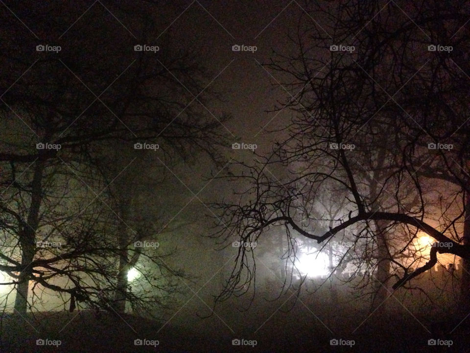 trees night lights mist by jimmy-jazz