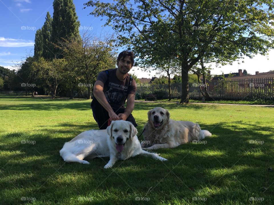 Grass, Dog, Lawn, Mammal, Canine