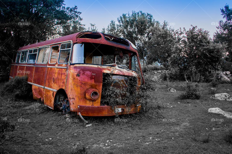 Into the wild lost bus