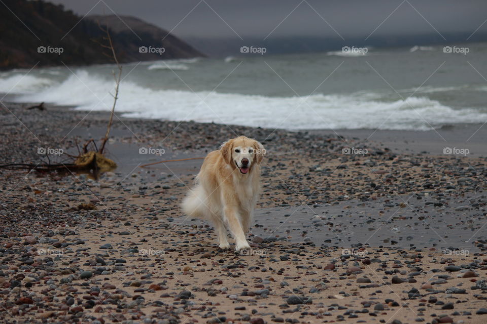 walking on the beach on lake superior in the upper peninsula of Michigan