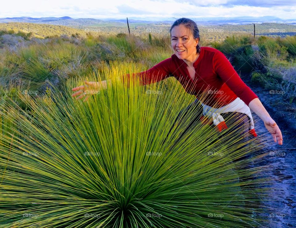 Grass tree