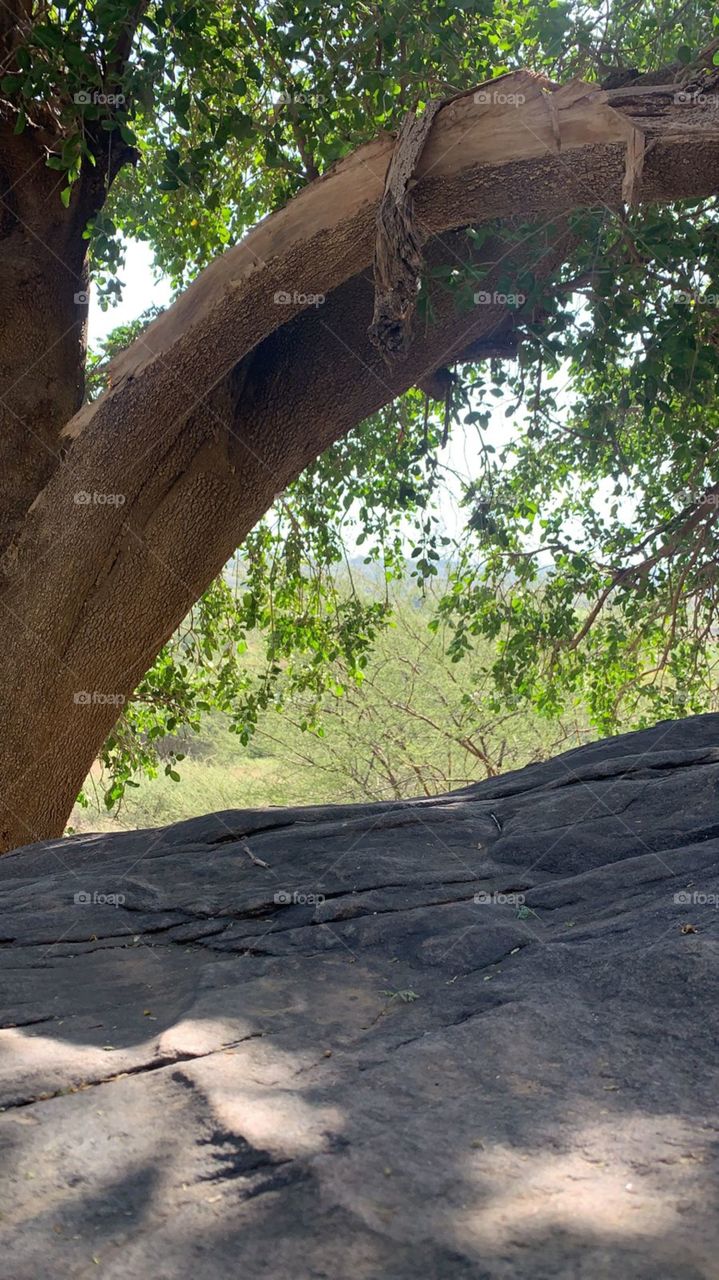 I need your support guys I'm very, very poor