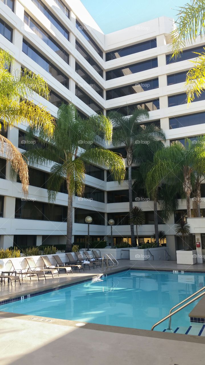 Westin LAX Swimming Pool. westin lax pool. November 2015