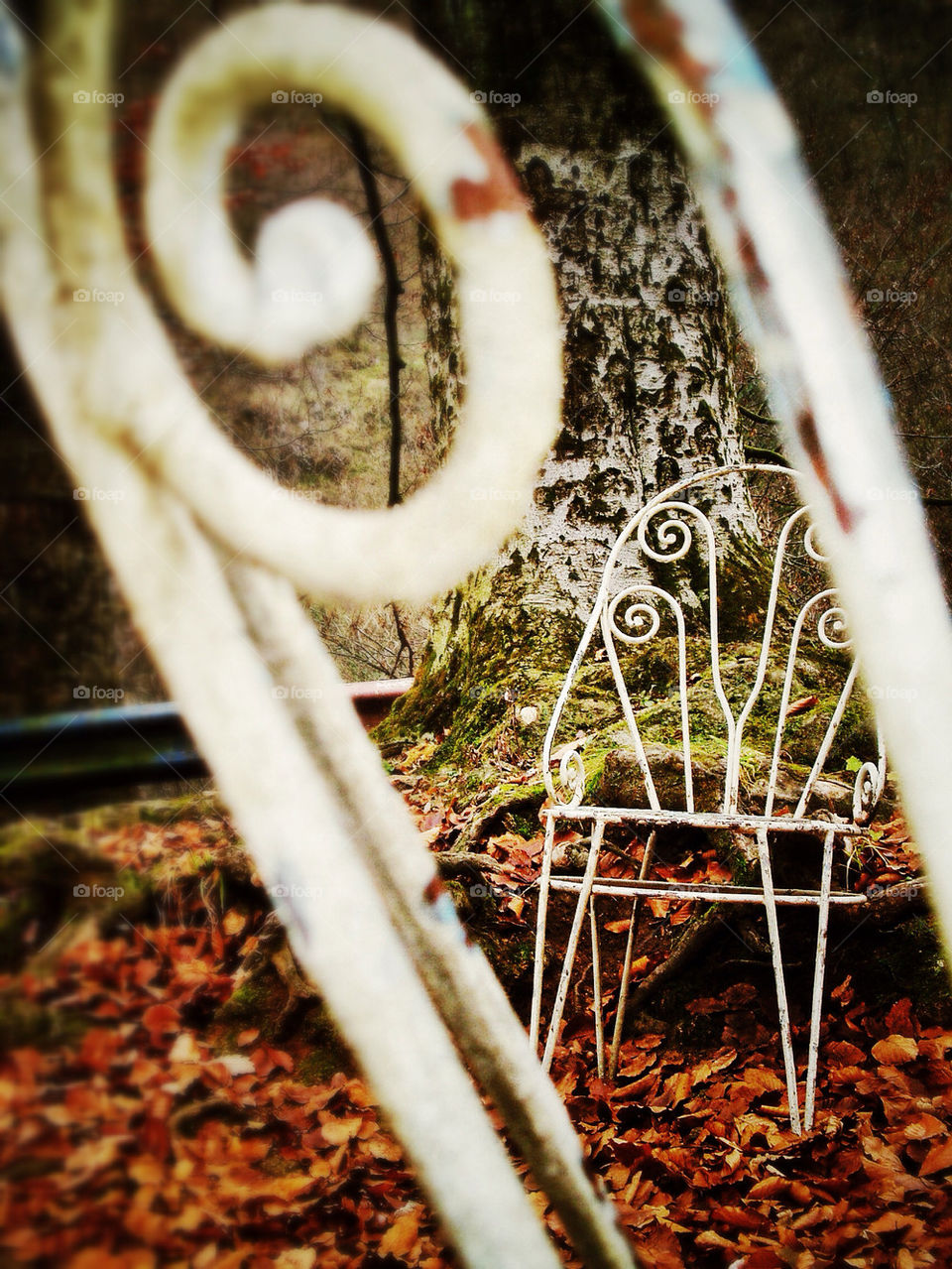 chair tree autumn leafa by sergiulik