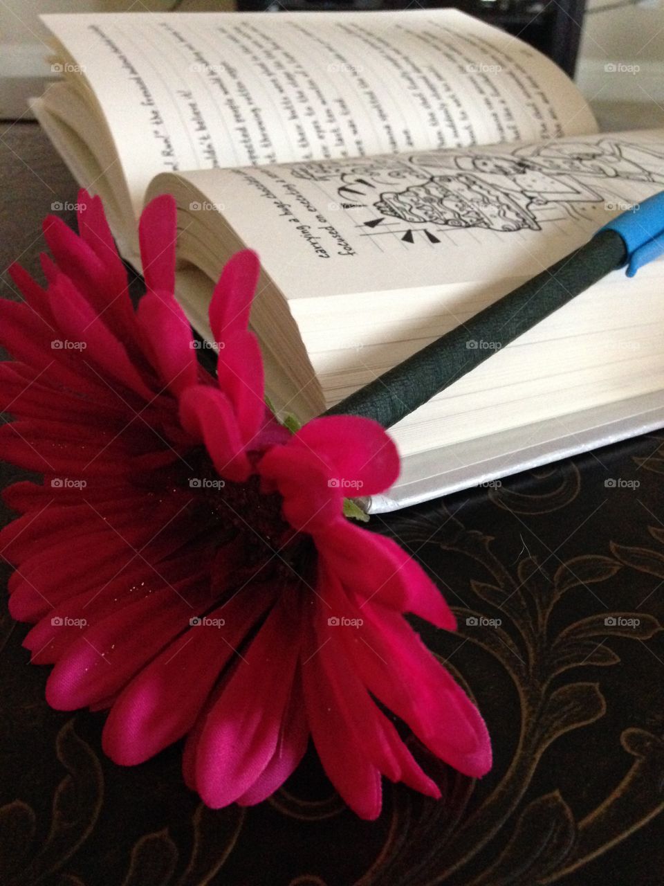 Reading and writing. Flower pen and book