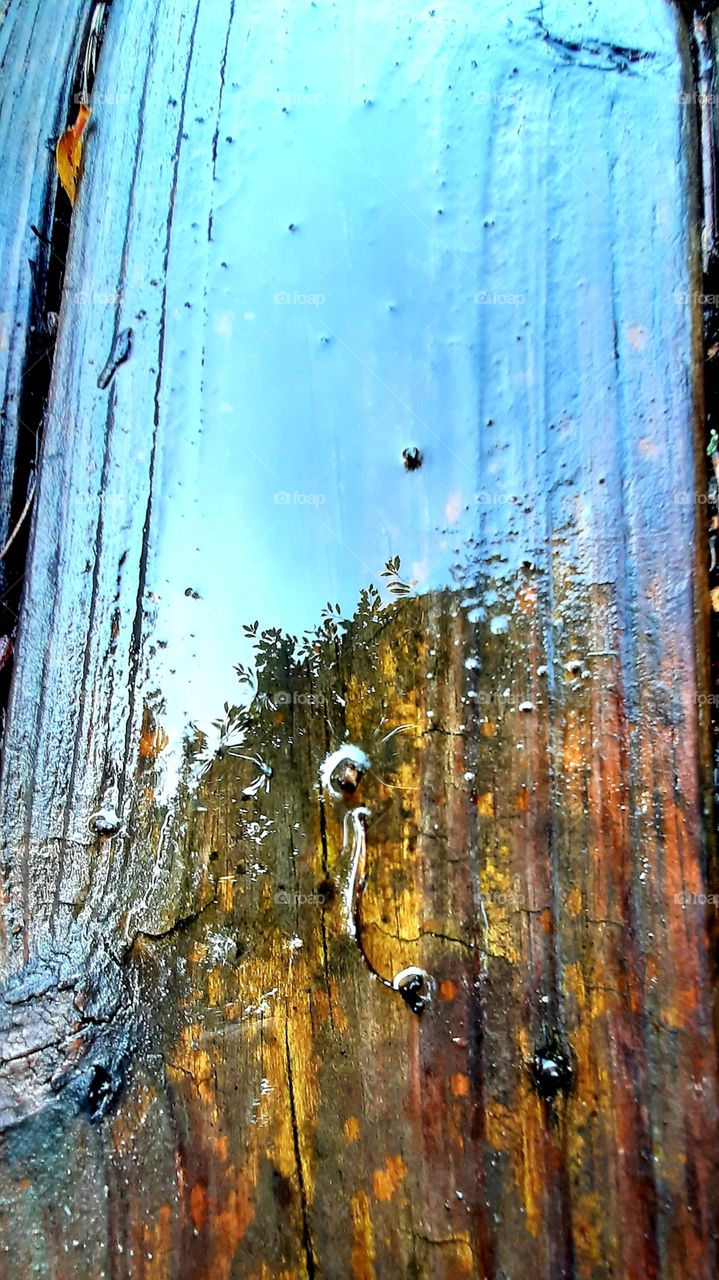 rain soaked decking makes a beautiful reflecting water color landscape