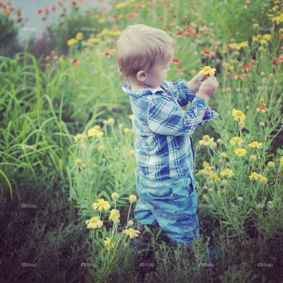 boy and flowers