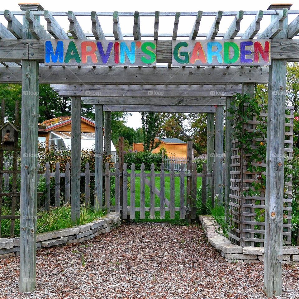 Marvin's Garden