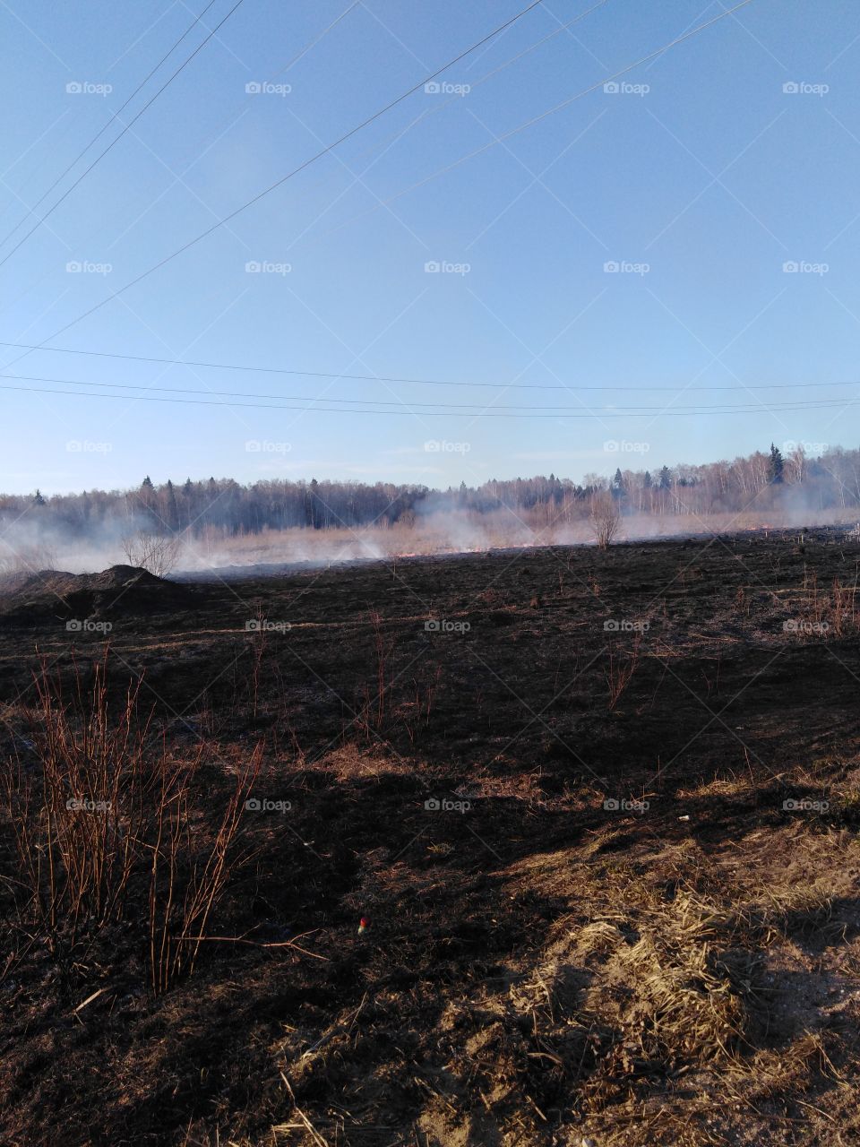 Горящее поле