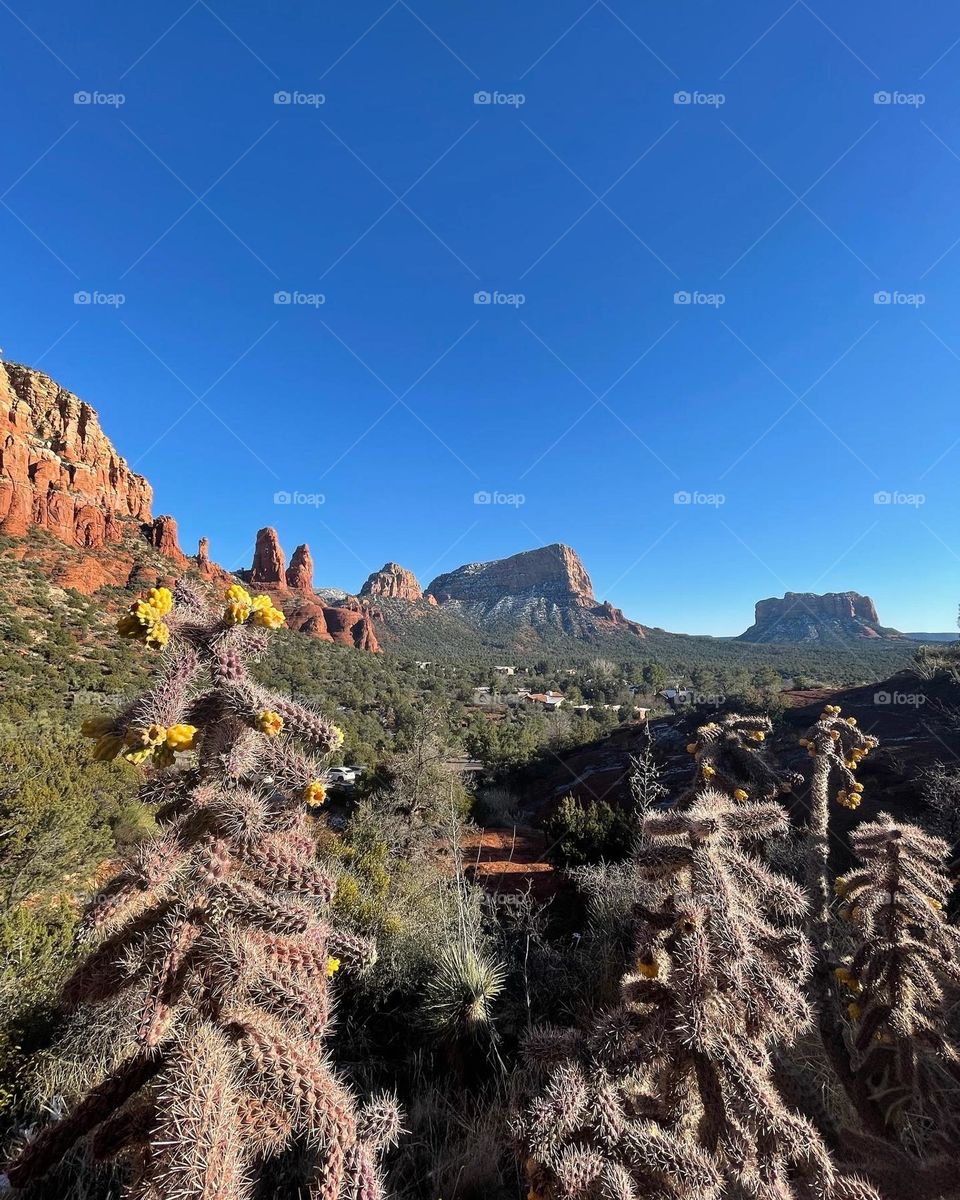 This picture was clicked couple of years back during our trip to sedona