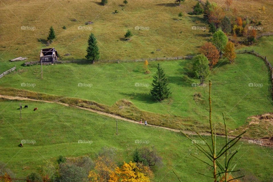 landscape in Carpathian mountains