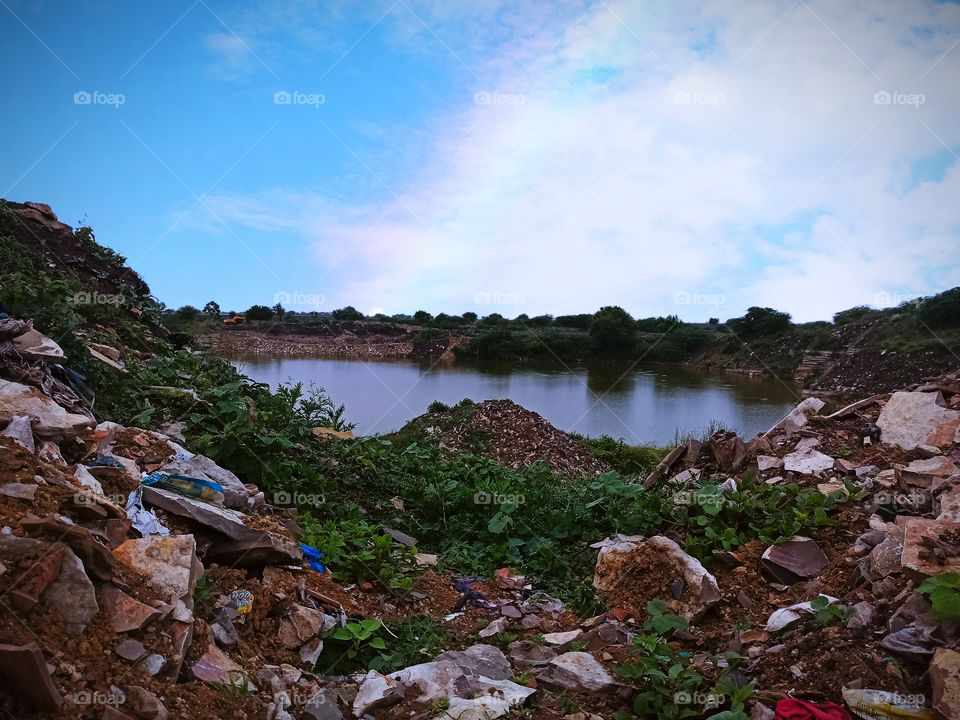 nothing more than nature.nature with no filters