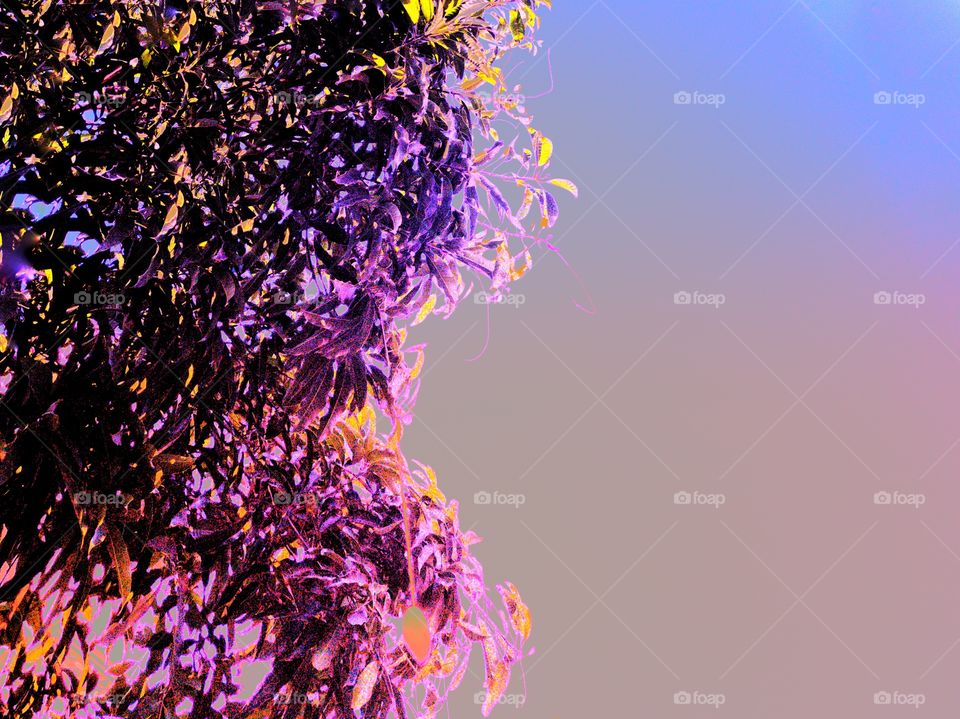 The varieties background