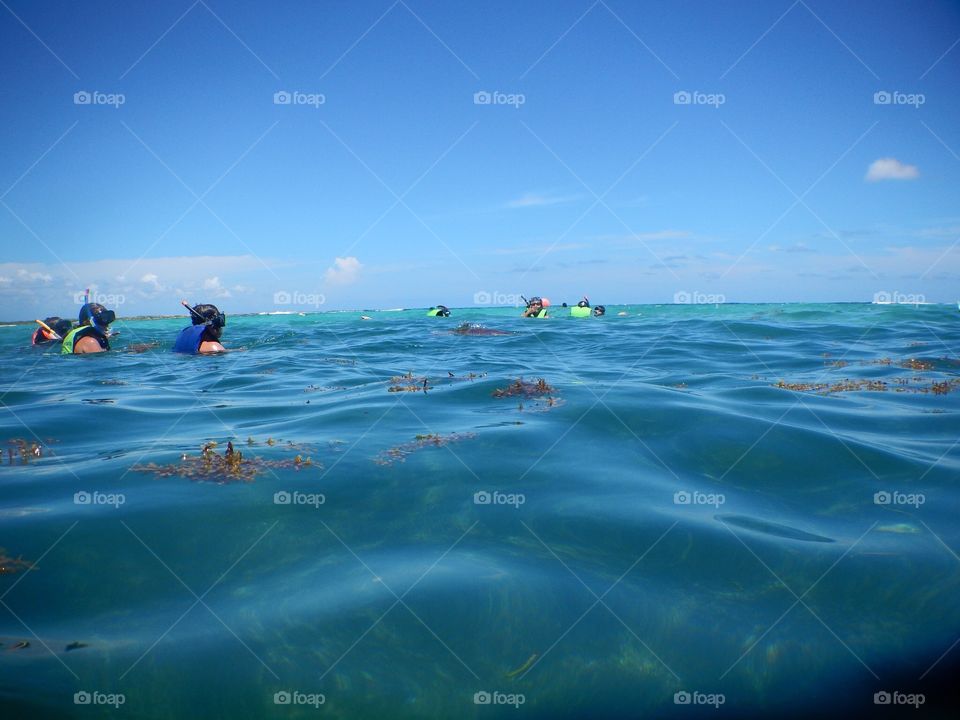 Snorkeling in Akumal Bay, Mexico