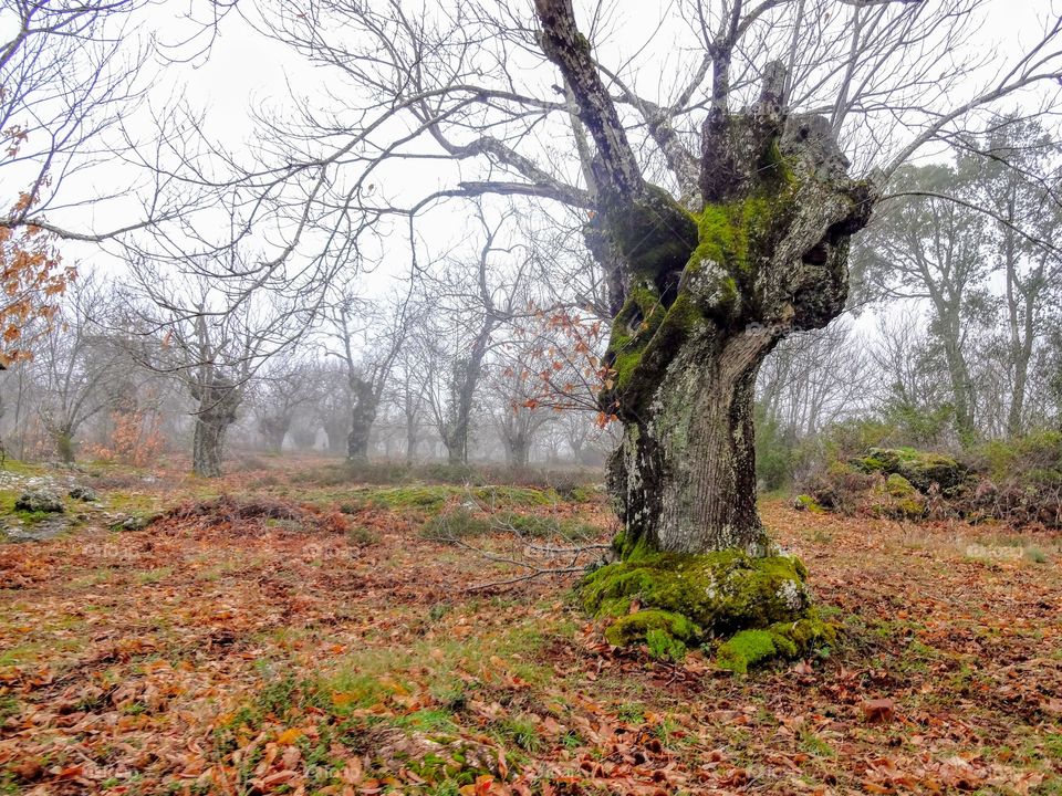 Hiking outside Sevilla, Spain