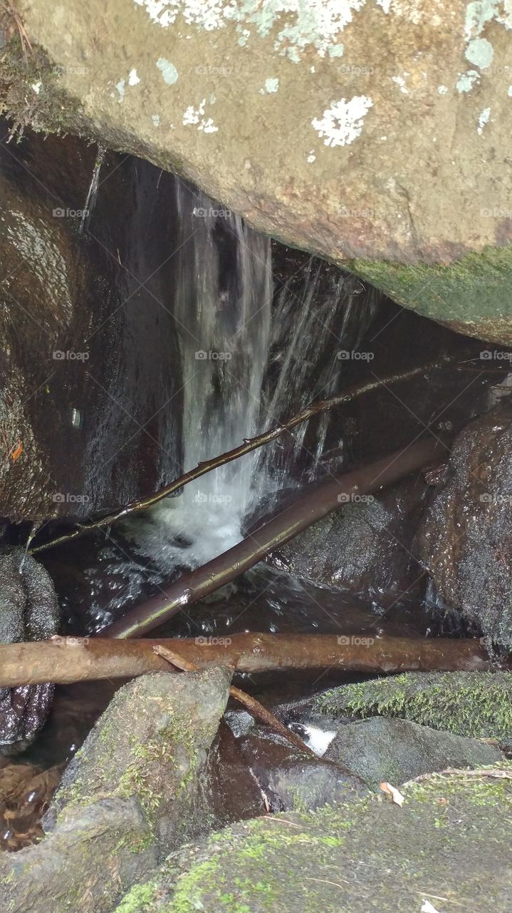 Water, No Person, Nature, Environment, Wood